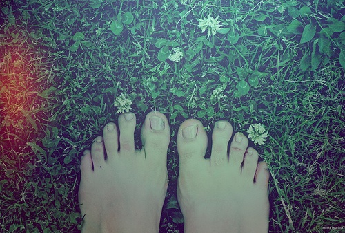 feet