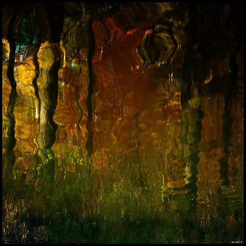 quote for the new year