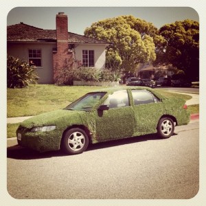 grass covered car