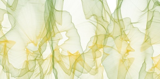 background-1747779_640