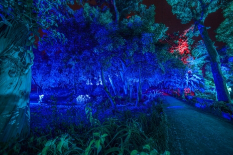 light Karo_Kola_Paris